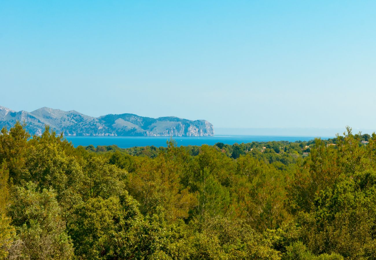 Villa à Alcudia - Finca Sa Rota