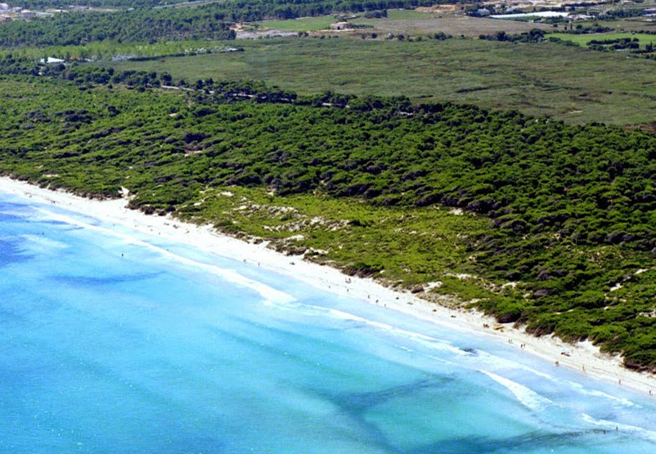 Villa à Playa de Muro - Casa Natura Park House