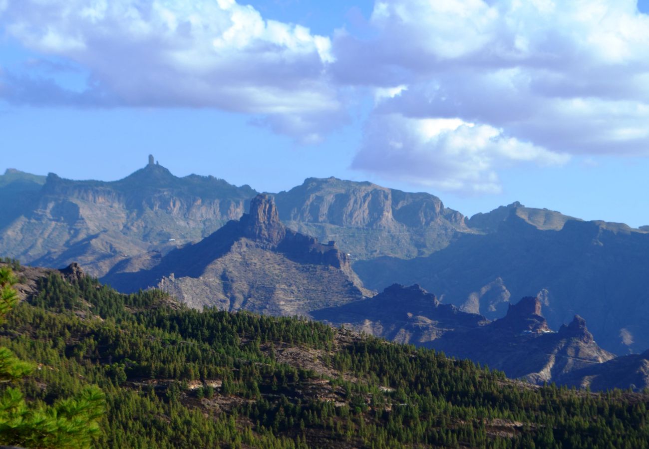 Chalet à Tejeda - ROQUE BENTAYGA TEJEDA