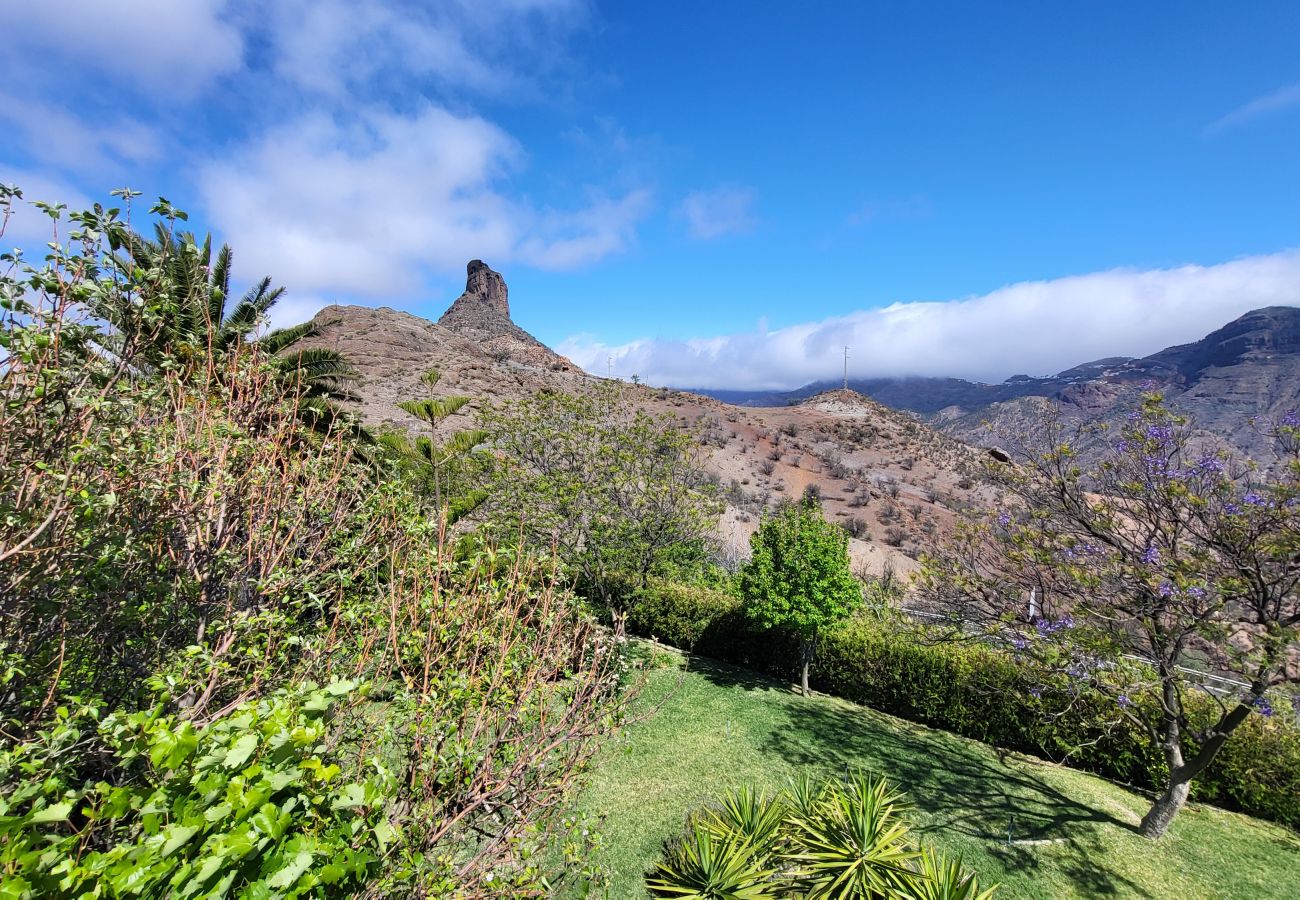 Chalet à Tejeda - ROQUE BENTAYGA TEJEDA