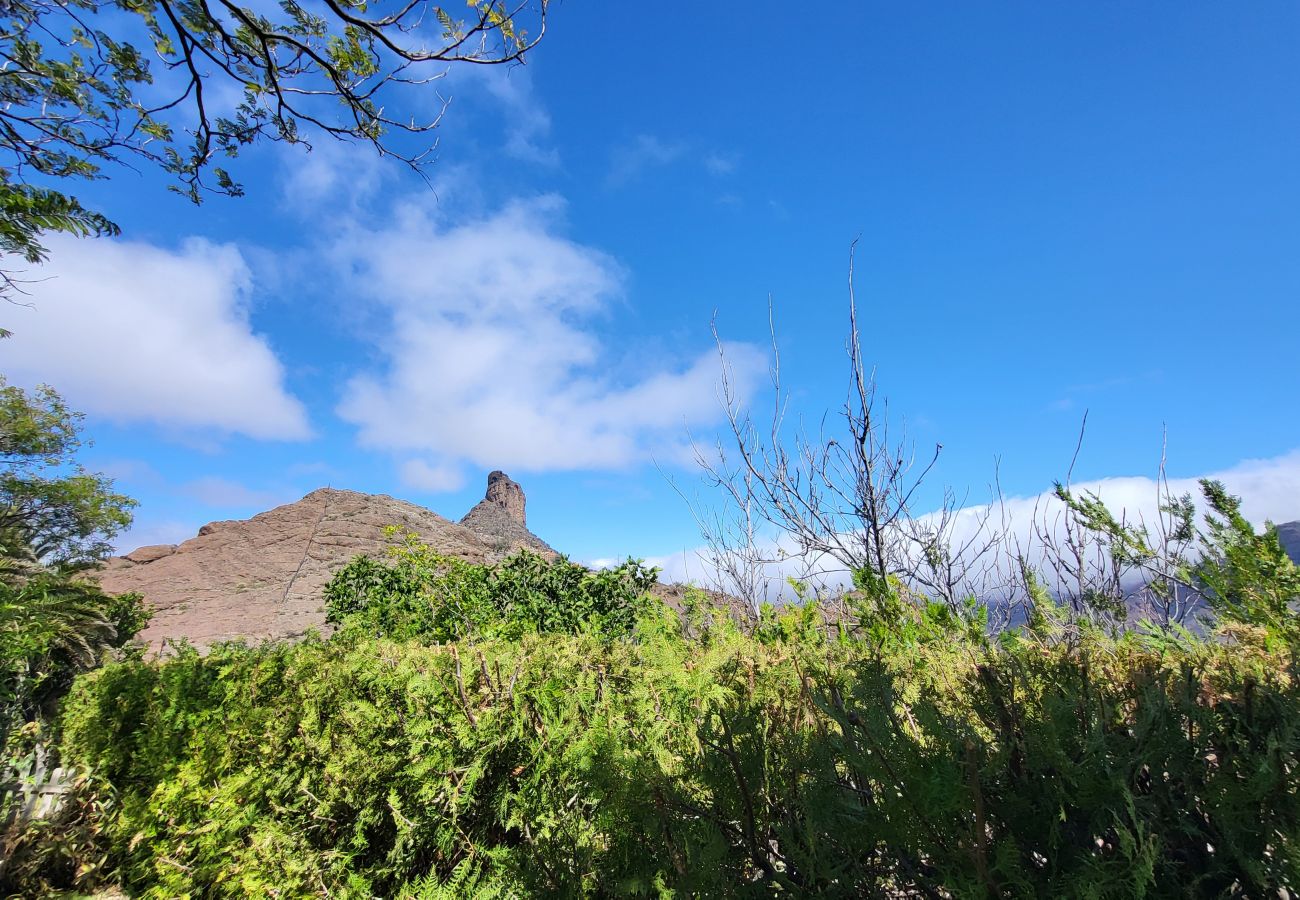 Chalet à Tejeda - ROQUE BENTAYGA TEJEDA