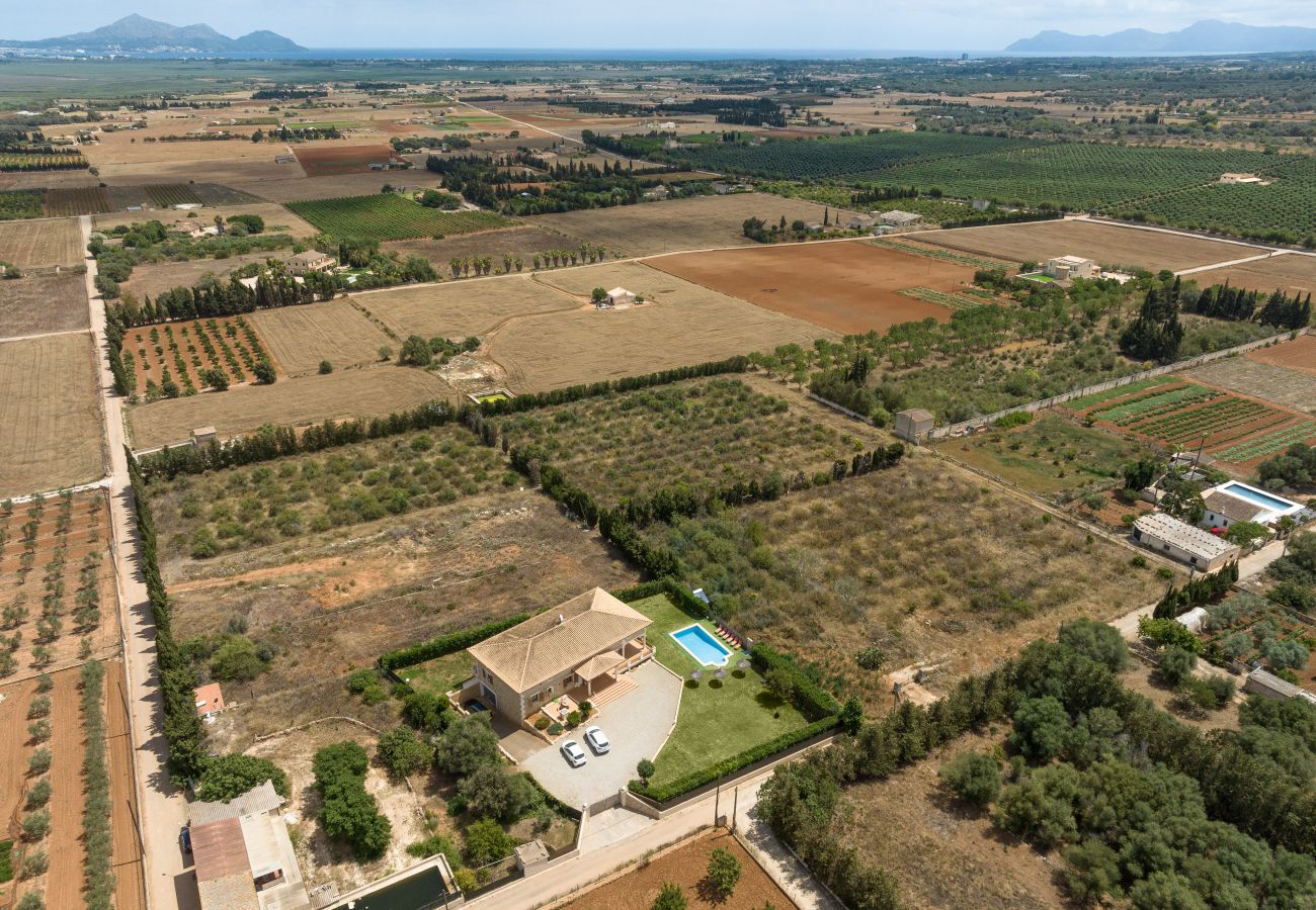 Fattoria a Muro - Villa Octopus