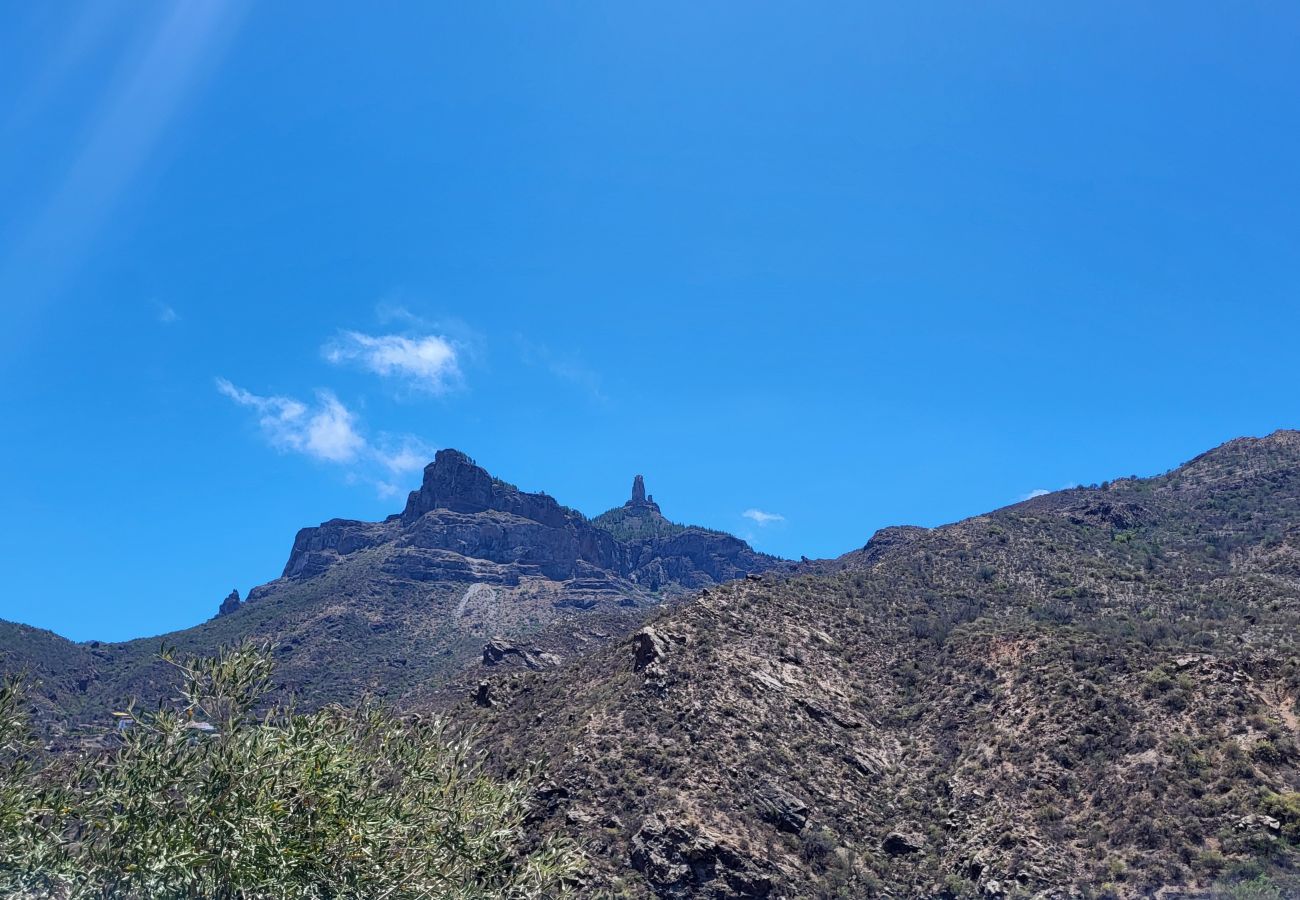 Villetta a Tejeda - ROQUE BENTAYGA TEJEDA