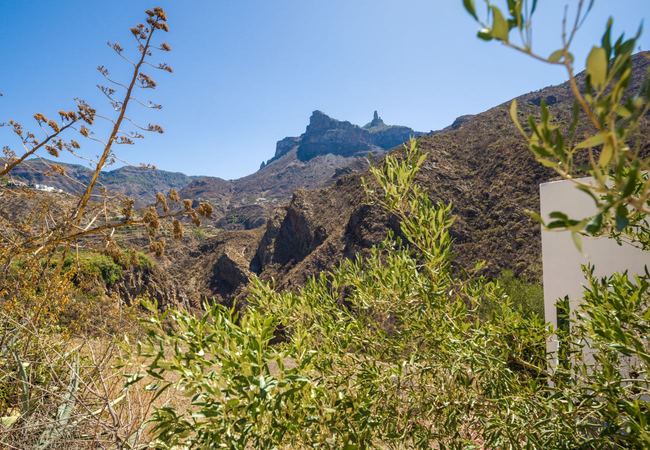 Casa a Tejeda - Rural La  Montaña Pico