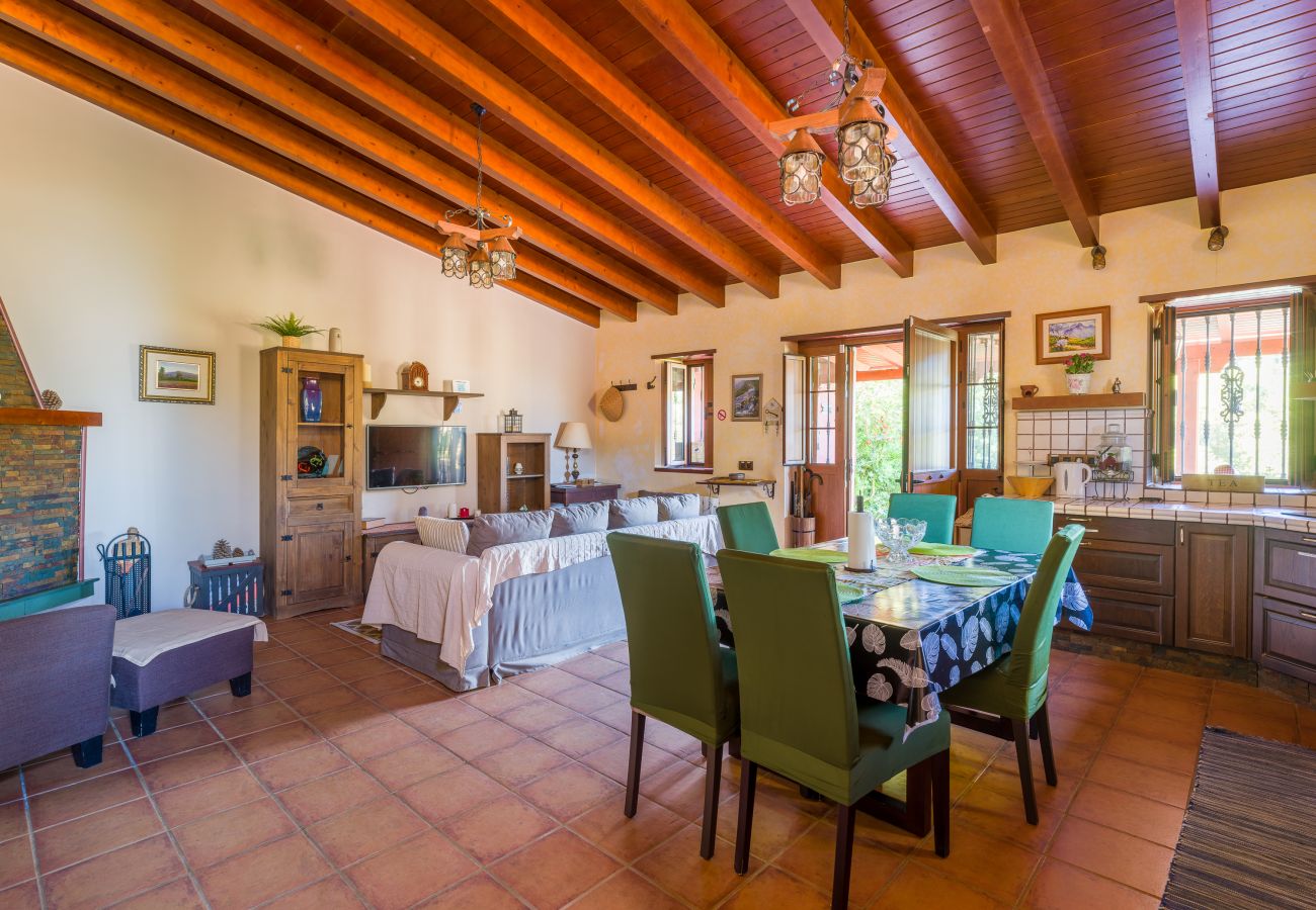 Cottage in Valleseco - Sombra del Laurel