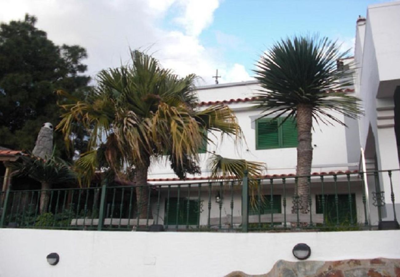 House in Tejeda - Rural La  Montaña Pico