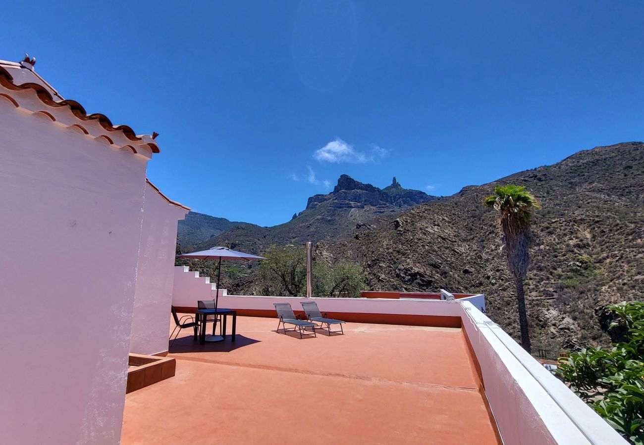 House in Tejeda - Rural La  Montaña Pico